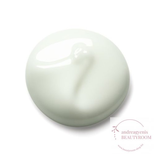 PAYOT PÂTE GRISE JOUR - Payot Pâte Grisé nappali krém; 50ml